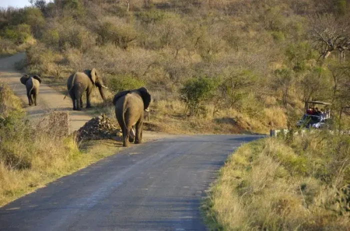 Framed Print : Africa, South Africa