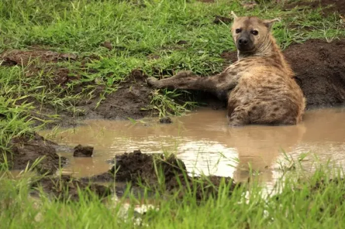 Framed Print : Africa, South Africa Framed Print : Africa, South Africa