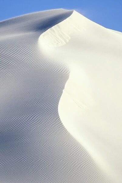 Africa, South Africa, DeHoop Nature Reserve. White sand dunes along the Indian Ocean