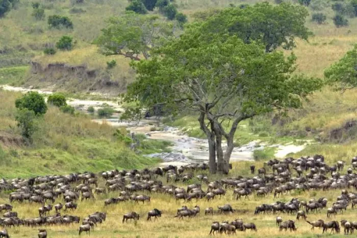 Framed Print : Africa, Tanzania