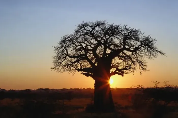 Framed Print : Africa, Tanzania