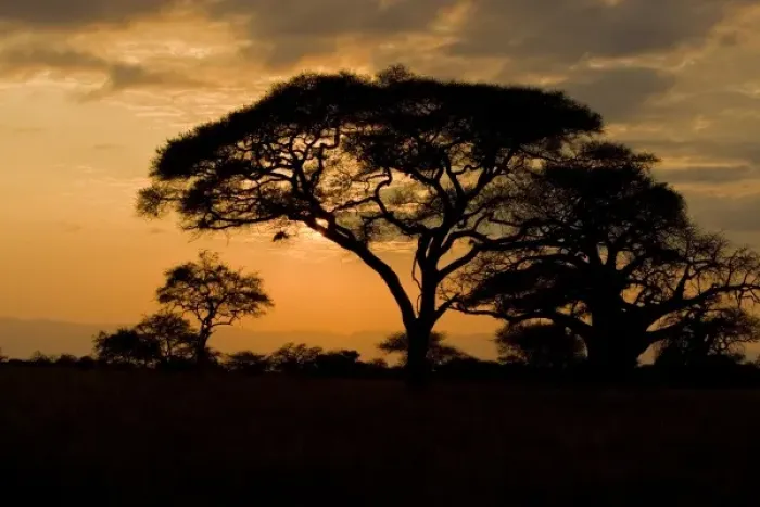Framed Print : Africa, Tanzania