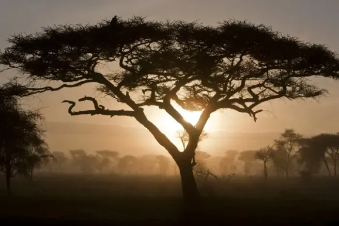 Framed Print : Africa, Tanzania Framed Print : Africa, Tanzania