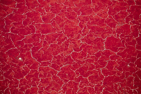 Africa, Tanzania, Aerial view of patterns of red algae and salt formations in shallow