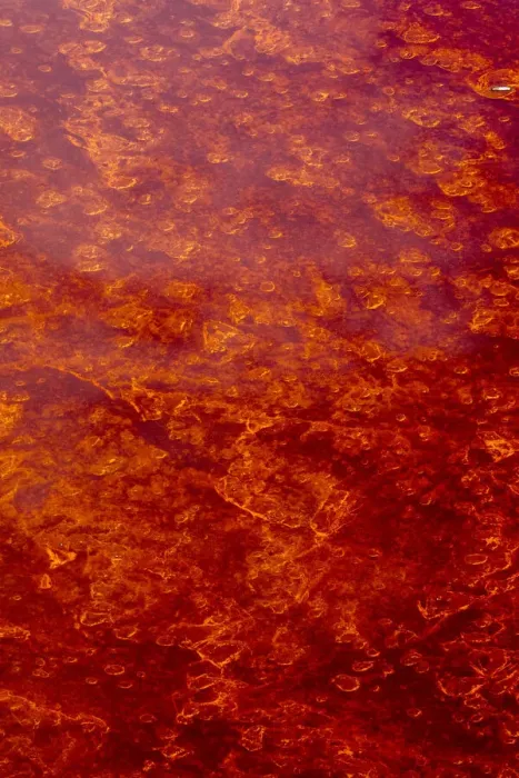 Framed Print : Africa, Tanzania, Aerial view of patterns of red algae and salt formations in shallow