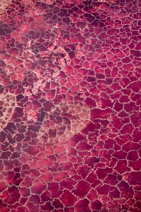 Framed Print : Africa, Tanzania, Aerial view of patterns of red algae and salt formations in shallow Framed Print : Africa, Tanzania, Aerial view of patterns of red algae and salt formations in shallow