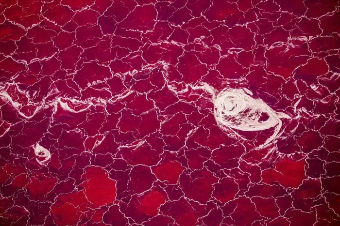 Framed Print : Africa, Tanzania, Aerial view of patterns of red algae and salt formations in shallow