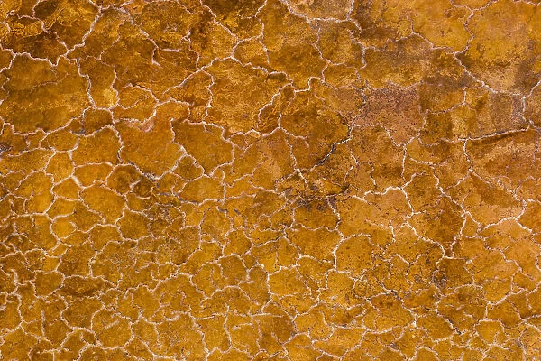 Africa, Tanzania, Aerial view of patterns of yellow algae