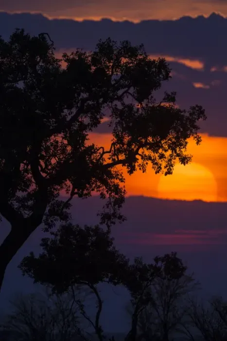 Framed Print : Africa. Tanzania. Colorful setting sun in Serengeti NP