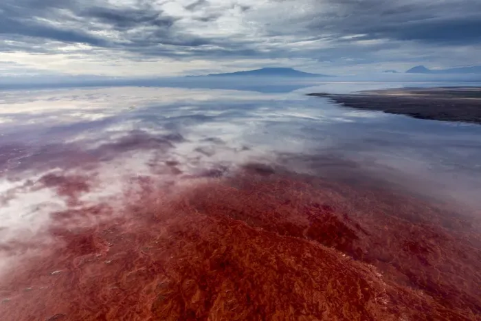 Framed Print : Africa, Tanzania, Enhanced contrast aerial view of patterns of red algae