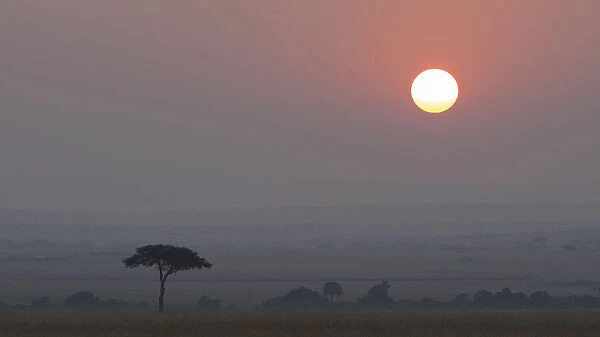 Africa, Tanzania, Ngorongoro Conservation Area