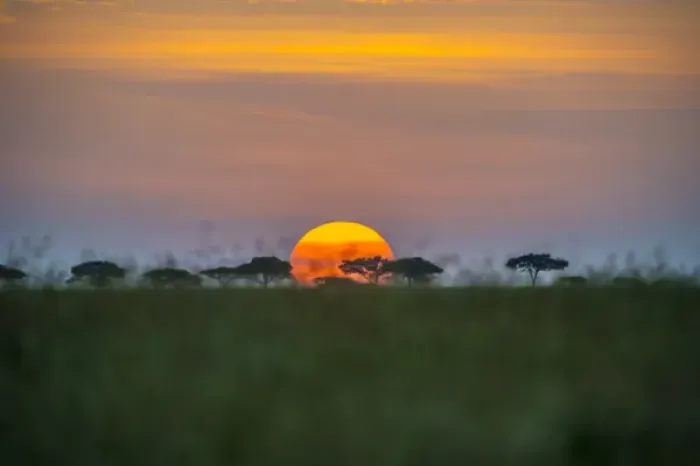 Framed Print : Africa, Tanzania, sunset Framed Print : Africa, Tanzania, sunset