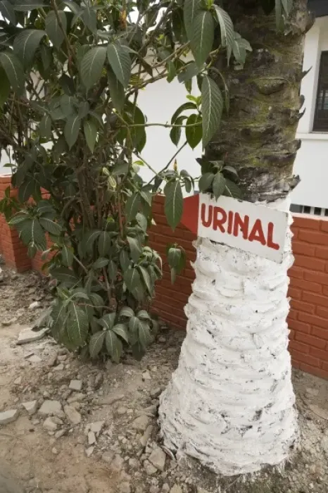 Framed Print : Africa, West Africa, Ghana, Kumasi. Sign for urinal on tree