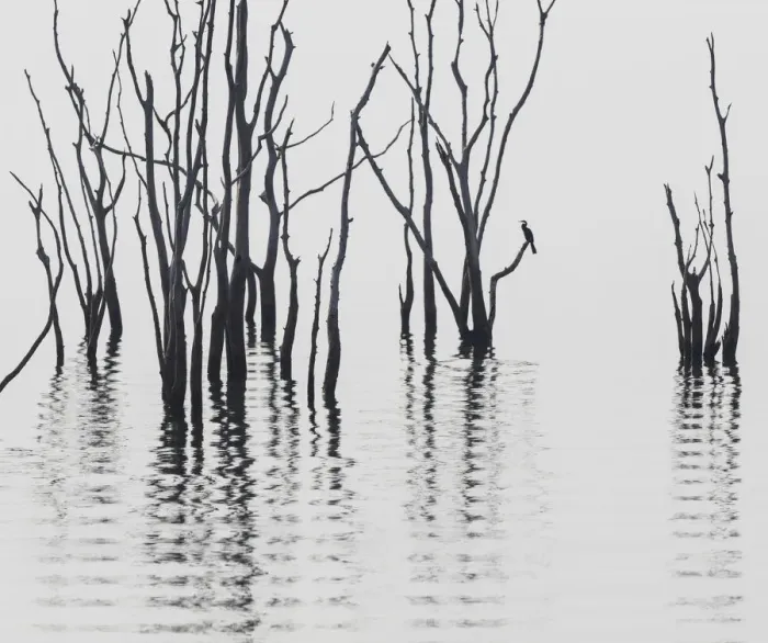 Framed Print : Africa, Zimbabwe, Matusadona National Park. Reflections on Lake Kariba. Credit as Framed Print : Africa, Zimbabwe, Matusadona National Park. Reflections on Lake Kariba. Credit as
