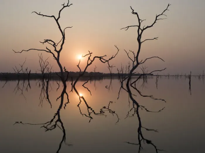 Framed Print : Africa, Zimbabwe, Matusadona National Park. Reflections on Lake Kariba. Credit as