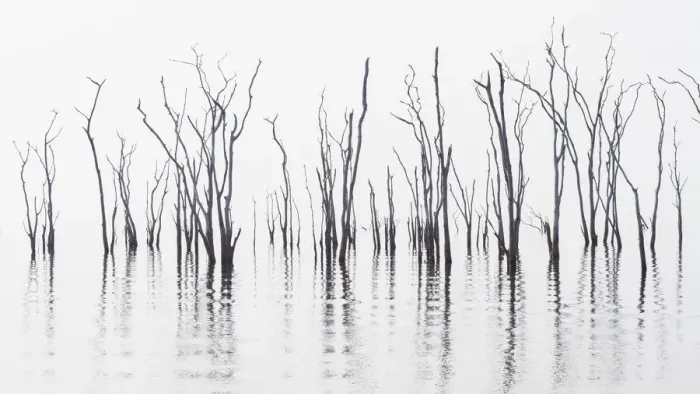 Framed Print : Africa, Zimbabwe, Matusadona National Park. Reflections on Lake Kariba. Credit as Framed Print : Africa, Zimbabwe, Matusadona National Park. Reflections on Lake Kariba. Credit as