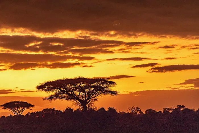 Framed Print : African sunset, Amboseli National Park