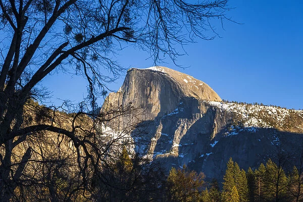 Afternoon light on Half Dome in winter, Yosemite National Park, California USA