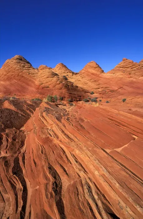 Framed Print : Afternoon light on marbled sandstone formations near Buckskin Gulch, Paria Canyon-Vermilion Framed Print : Afternoon light on marbled sandstone formations near Buckskin Gulch, Paria Canyon-Vermilion