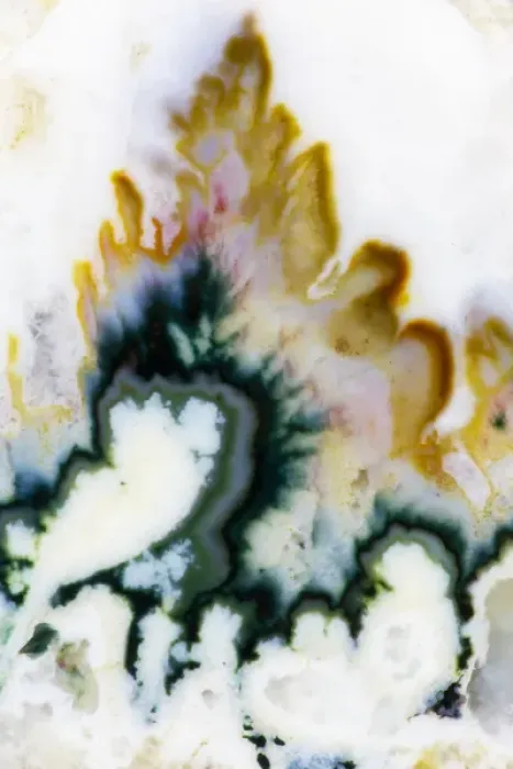 Framed Print : Agate in colorful design, Sammamish WA Framed Print : Agate in colorful design, Sammamish WA