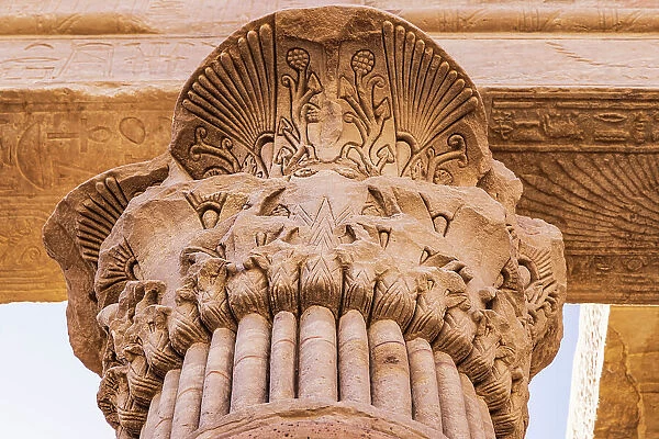 Agilkia Island, Aswan, Egypt. Capital of a column carved like a palm, at the Philae Temple, a UNESCO World Heritage Site