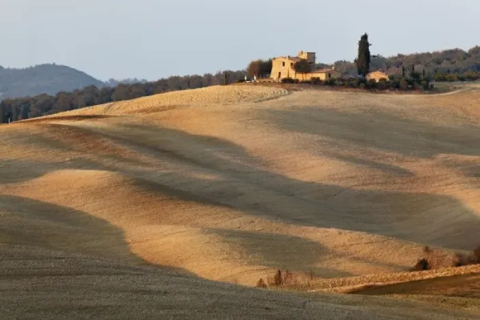 Framed Print : Agricultural field at sunset, Val d Orcia, Tuscany, Italy