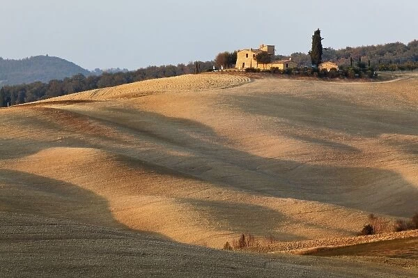 Agricultural field at sunset, Val d Orcia, Tuscany, Italy