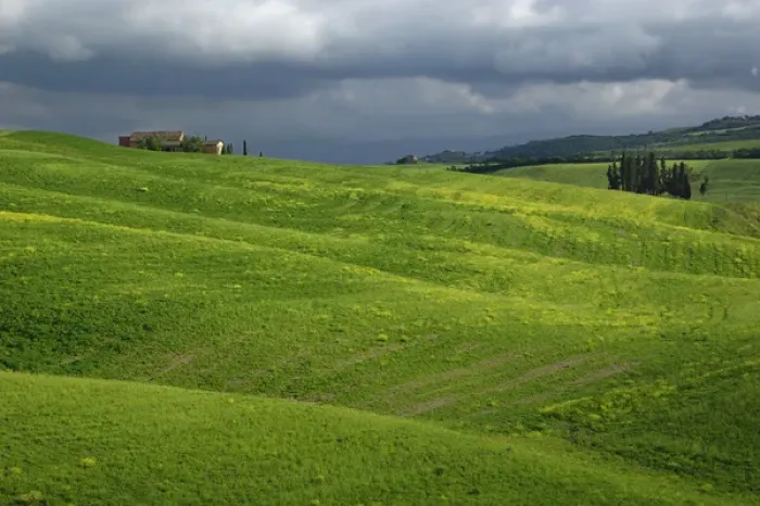 Framed Print : Agricultural region of Tuscany, Italy Framed Print : Agricultural region of Tuscany, Italy
