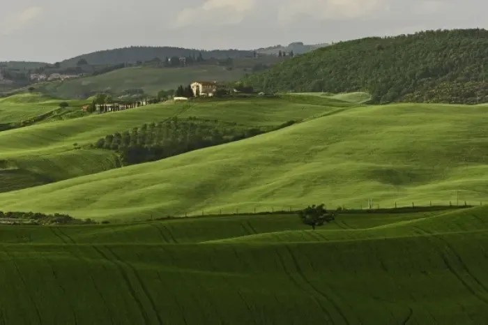 Framed Print : Agricultural region of Tuscany, Italy Framed Print : Agricultural region of Tuscany, Italy