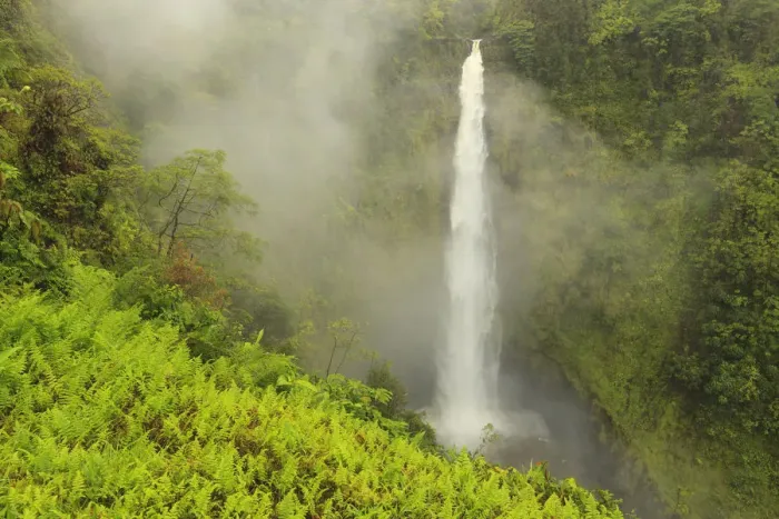 Framed Print : Akaka Falls, 442 feet high, Akaka Falls State Park, Hamakua Coast, Big Island, Hawaii Framed Print : Akaka Falls, 442 feet high, Akaka Falls State Park, Hamakua Coast, Big Island, Hawaii
