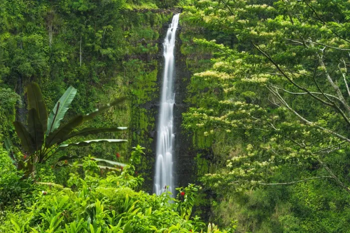Framed Print : Akaka Falls, Akaka Falls State Park, Hamakua Coast, Big Island, Hawaii, USA