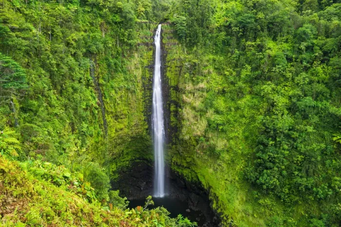Framed Print : Akaka Falls, Akaka Falls State Park, Hamakua Coast, The Big Island, Hawaii, USA Framed Print : Akaka Falls, Akaka Falls State Park, Hamakua Coast, The Big Island, Hawaii, USA