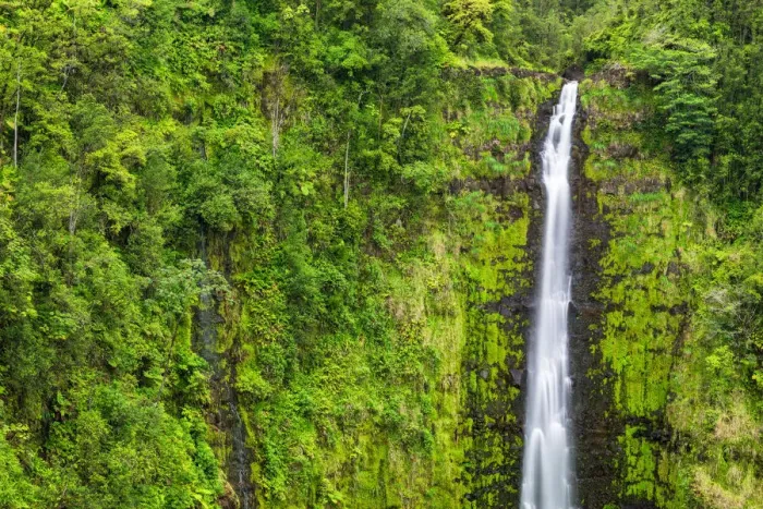 Framed Print : Akaka Falls, Akaka Falls State Park, Hamakua Coast, Big Island, Hawaii, USA