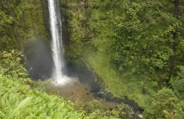 Framed Print : Akaka Falls, Hamakua Framed Print : Akaka Falls, Hamakua