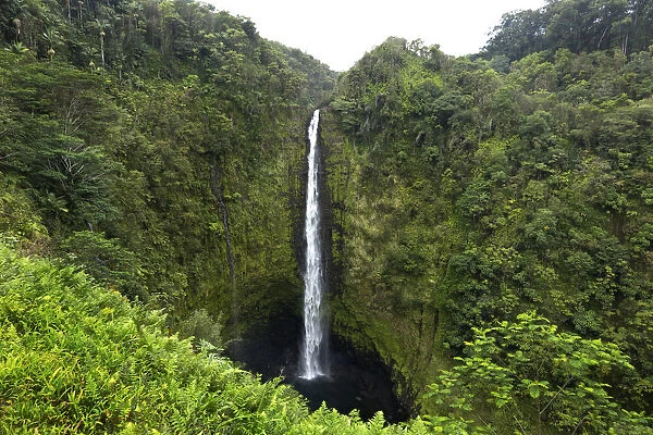 Akaka Falls, Hawaii, Big Island