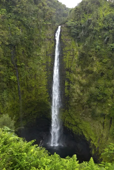 Framed Print : Akaka Falls, Hawaii, Big Island Framed Print : Akaka Falls, Hawaii, Big Island