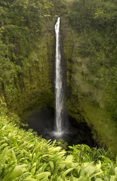 Framed Print : Akaka Falls, north of Hilo, on the Big Island of Hawaii Framed Print : Akaka Falls, north of Hilo, on the Big Island of Hawaii