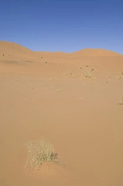 Akakus, Sahara desert, Fezzan, Libya
