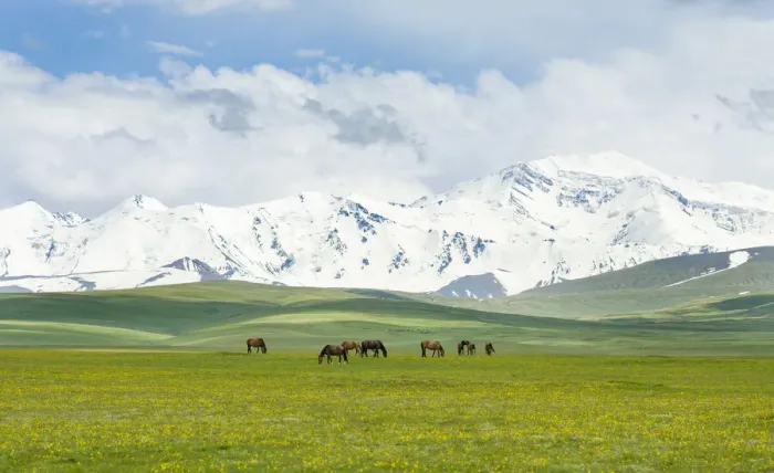 Framed Print : The Alaj valley with the Transalai mountains in the background. The Pamir Mountains Framed Print : The Alaj valley with the Transalai mountains in the background. The Pamir Mountains