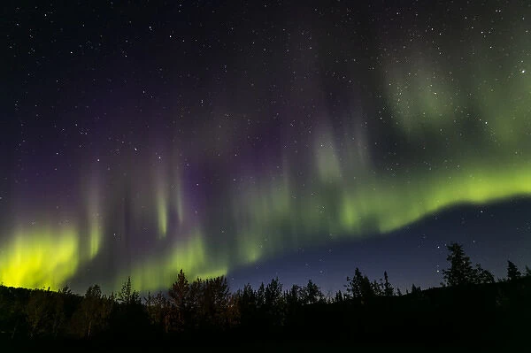 Alaska. Aurora borealis and stars. Credit as: Don Paulson  /  Jaynes Gallery  /  DanitaDelimont