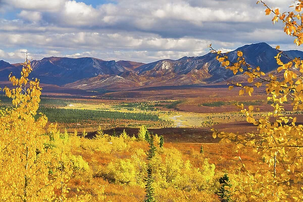 Alaska, Denali National Park. Golden landscape of valley and mountains