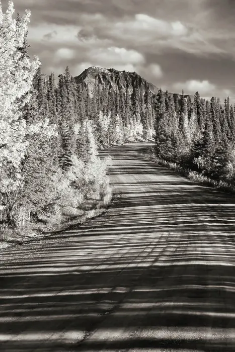 Framed Print : Alaska, Denali National Park. Road winding through Denali Framed Print : Alaska, Denali National Park. Road winding through Denali