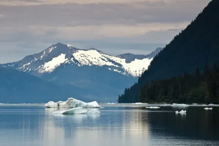 Framed Print : Alaska. Iceberg in LeConte Bay, Southeast Alaska Framed Print : Alaska. Iceberg in LeConte Bay, Southeast Alaska