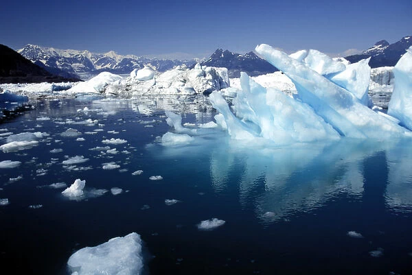 Alaska, Prince William Sound Icebergs floating in Prince William Sound