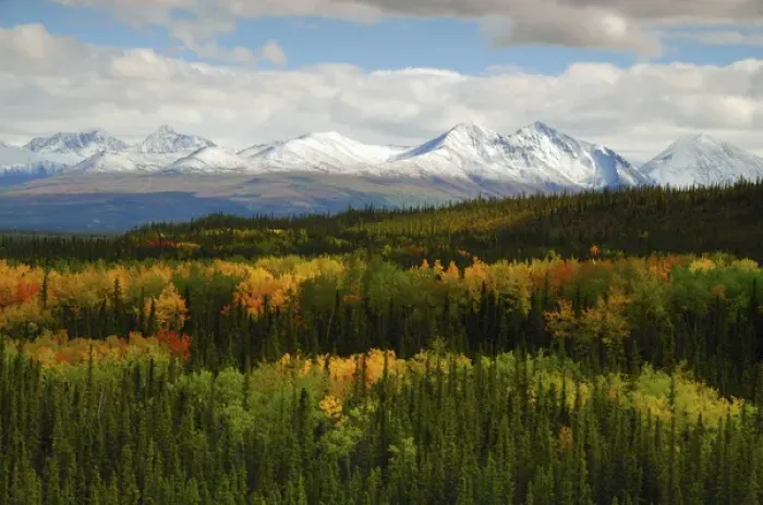 Framed Print : Alaska Range in Autumn; Denali National Park; Alaska; USA