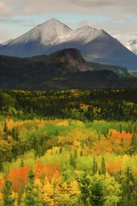 Framed Print : Alaska Range in Autumn; Taiga; Tundra; Denali National Park; Alaska; USA