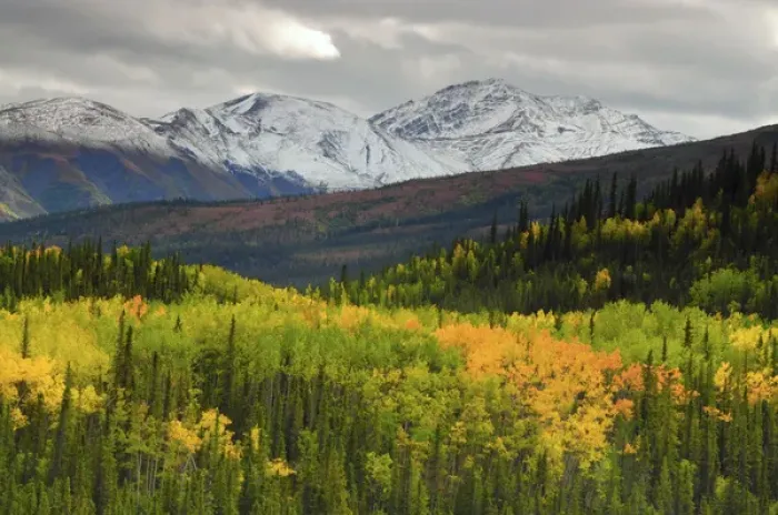 Framed Print : Alaska Range in Autumn; Taiga; Tundra; Denali National Park; Alaska; USA