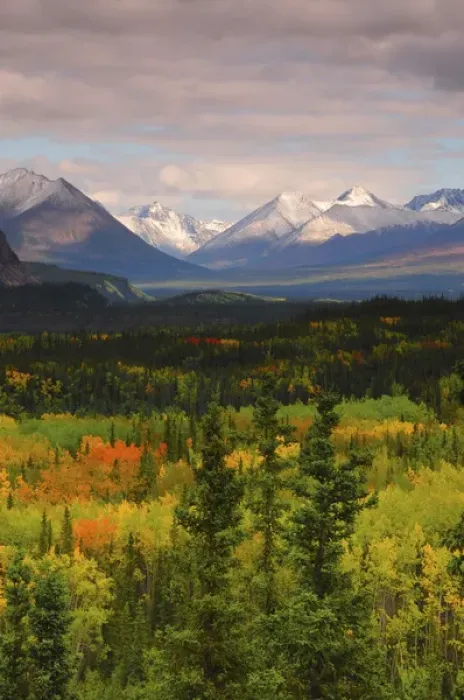 Framed Print : Alaska Range in Autumn; Taiga; Tundra; Denali National Park; Alaska; USAl Framed Print : Alaska Range in Autumn; Taiga; Tundra; Denali National Park; Alaska; USAl