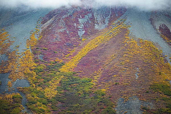 Alaska, USA, autumn color