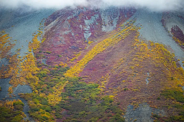 Framed Print : Alaska, USA, autumn color